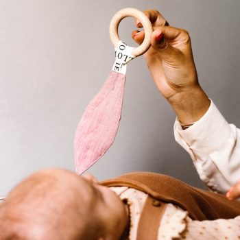 Bijtring Family Tree - Old Pink